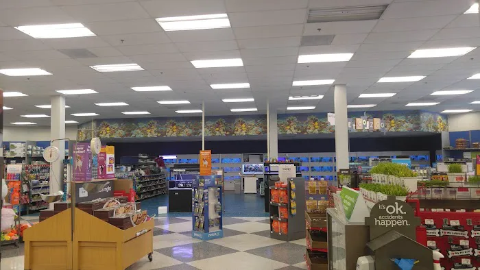 Petco Picture 8