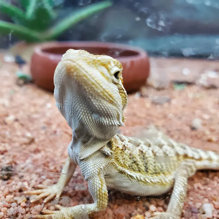 Petco Picture 10