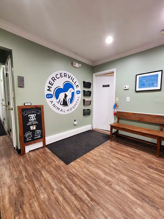 Mercerville Animal Hospital Picture 3