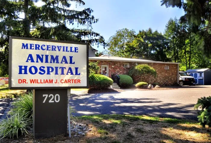 Mercerville Animal Hospital Picture 1