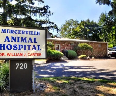 Mercerville Animal Hospital