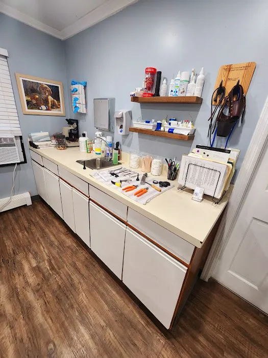 Mercerville Animal Hospital Picture 4