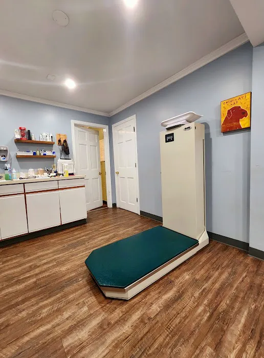 Mercerville Animal Hospital Picture 7
