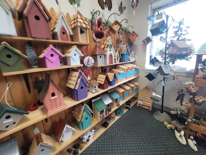 Stewarts bird farm Picture 1