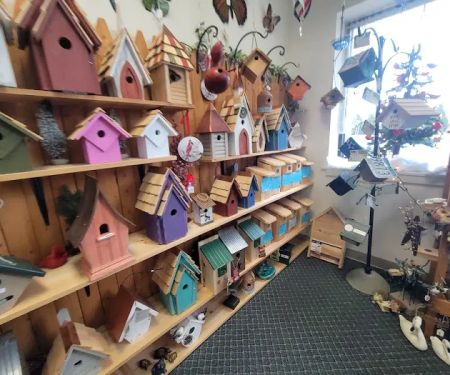 Stewarts bird farm