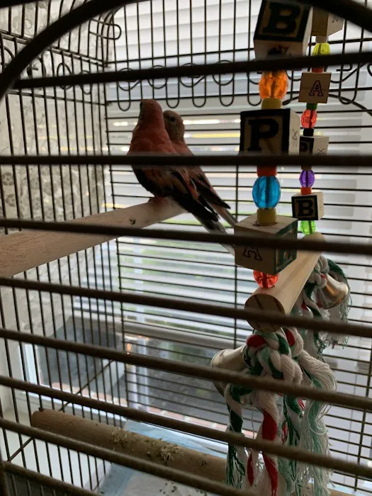 Stewarts bird farm Picture 5