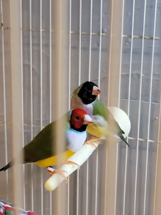 Stewarts bird farm Picture 8