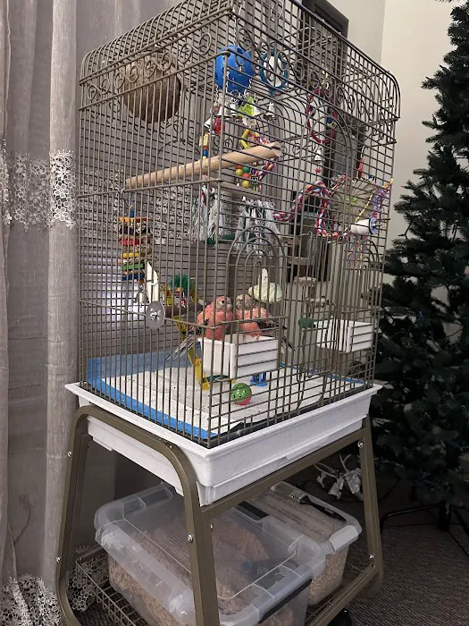 Stewarts bird farm Picture 6