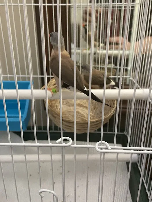 Stewarts bird farm Picture 7