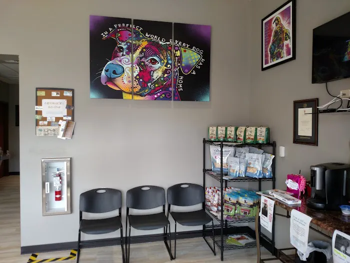 Mills Veterinary Care Picture 4