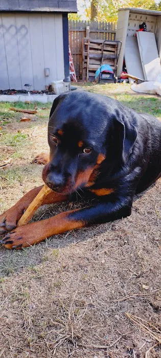 Mills Veterinary Care Picture 7