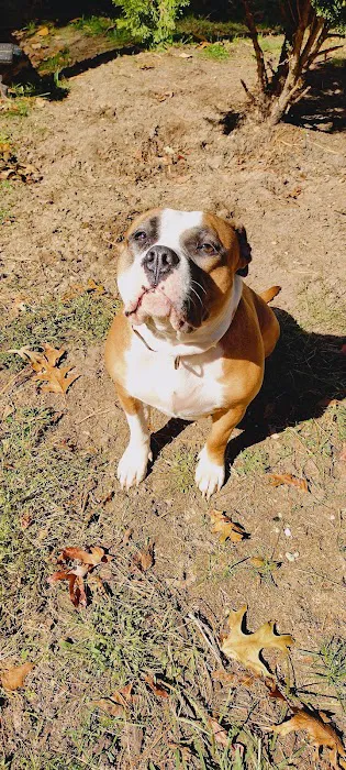 Mills Veterinary Care Picture 9