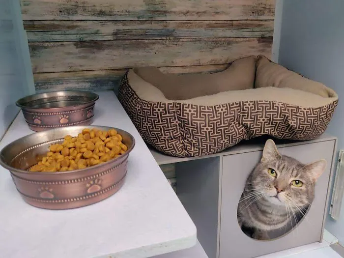 Heartland Veterinary and Boarding Picture 5