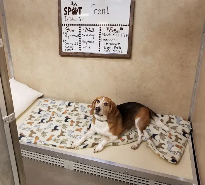 Heartland Veterinary and Boarding Picture 8