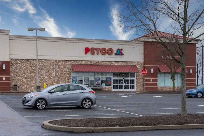 Petco Picture 3