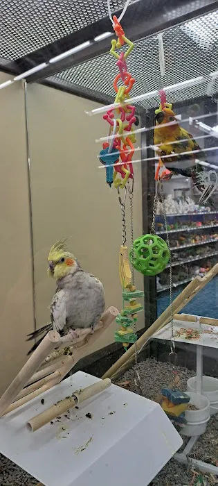 Petco Picture 6