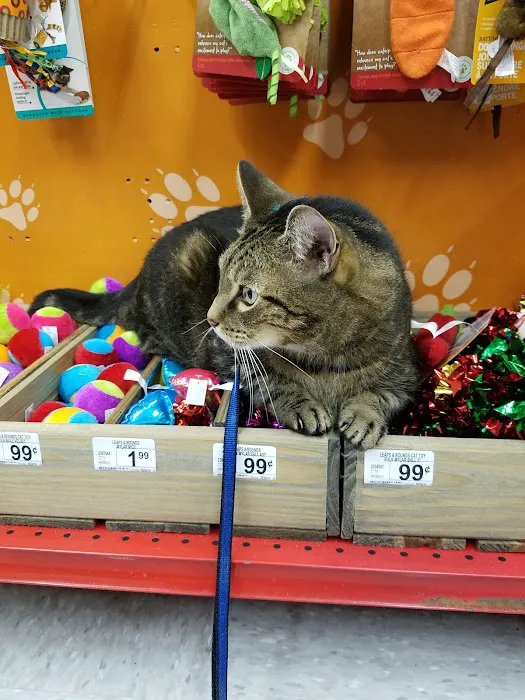 Petco Picture 2