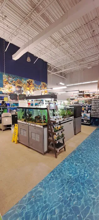 Petco Picture 8