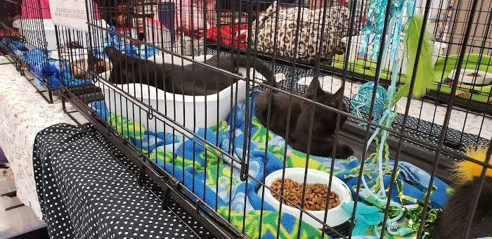 Petco Picture 10