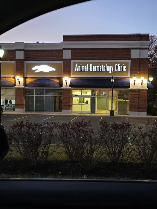 Animal Dermatology Clinic Picture 1