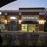Animal Dermatology Clinic
