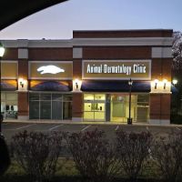 Animal Dermatology Clinic ico