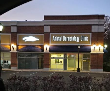 Animal Dermatology Clinic