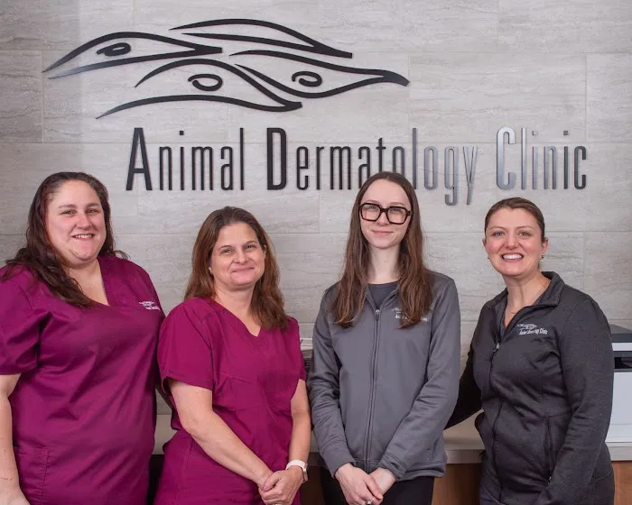 Animal Dermatology Clinic Picture 5