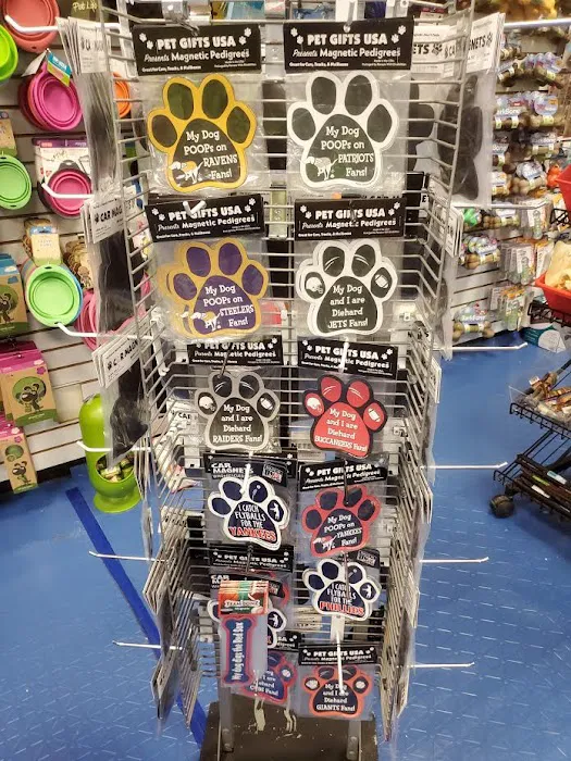 Ultimate Doggie Destination Picture 5
