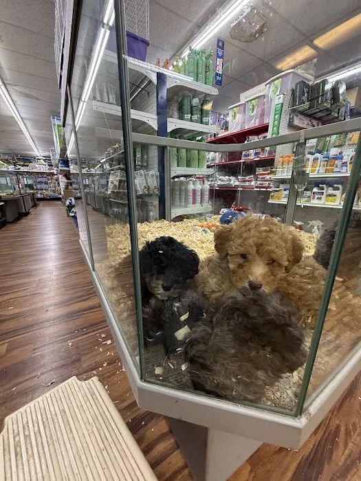 Robin Zimmers Pets Picture 1