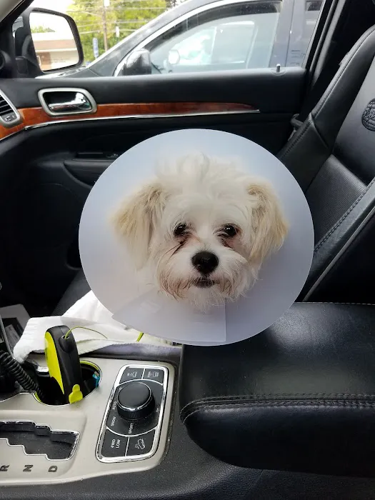 Sanatoga Animal Hospital, LLC Picture 3