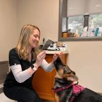 MainStreetVet.net