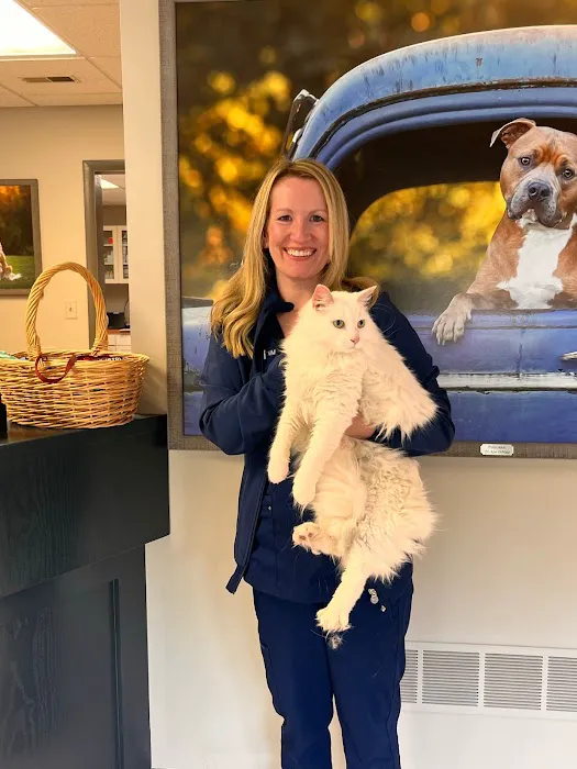 MainStreetVet.net Picture 7