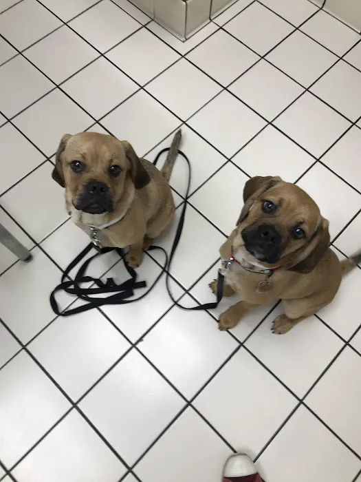 Coventry Animal Hospital Picture 1