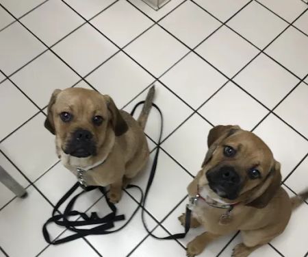 Coventry Animal Hospital