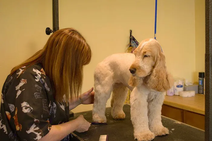 Coventry Animal Hospital Picture 5
