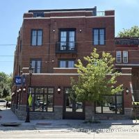 Doggie Style Pets Chestnut Hill ico