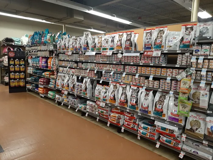 Petco Picture 5