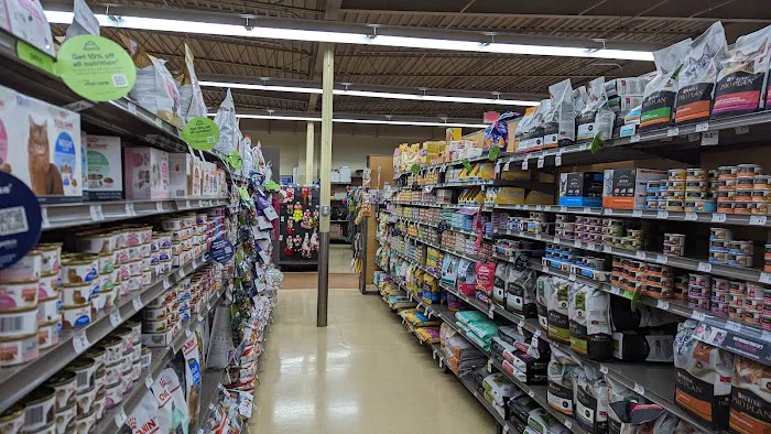 Petco Picture 3