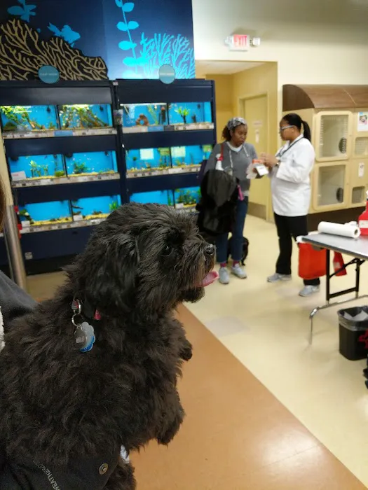 Petco Picture 2