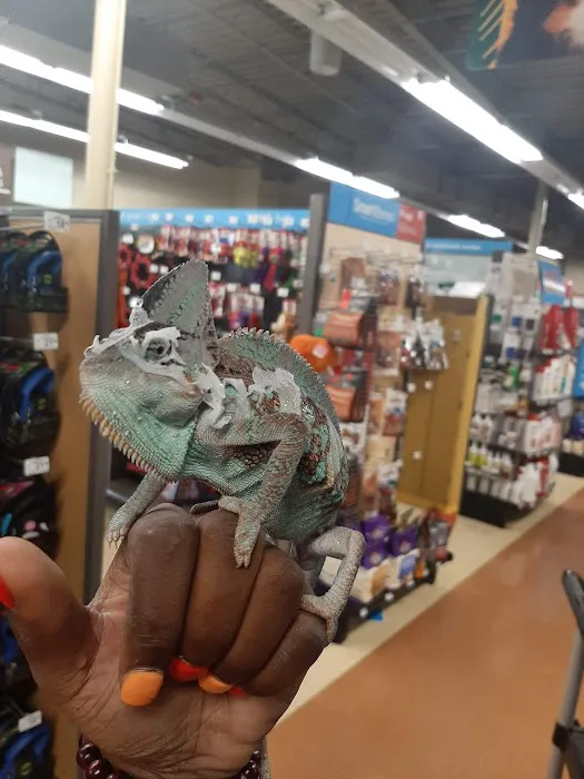 Petco Picture 9