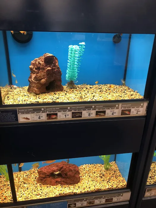 Petco Picture 10