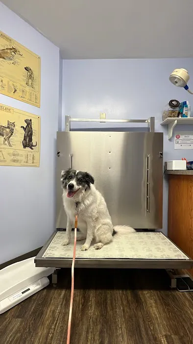 Green Lane Veterinary Hospital Picture 6