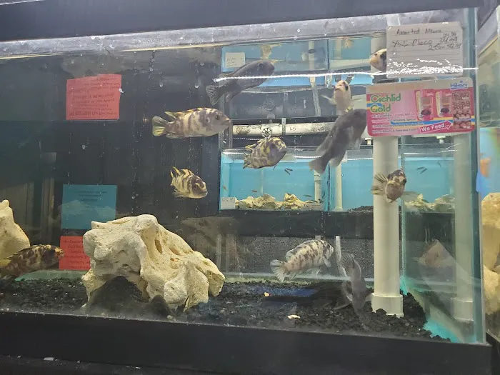 World Wide Aquarium & Pets Picture 2