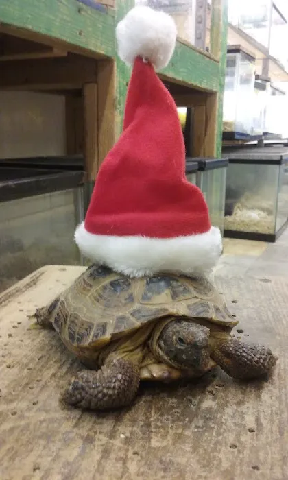 World Wide Aquarium & Pets Picture 1