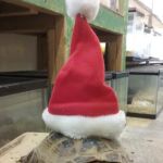 World Wide Aquarium & Pets