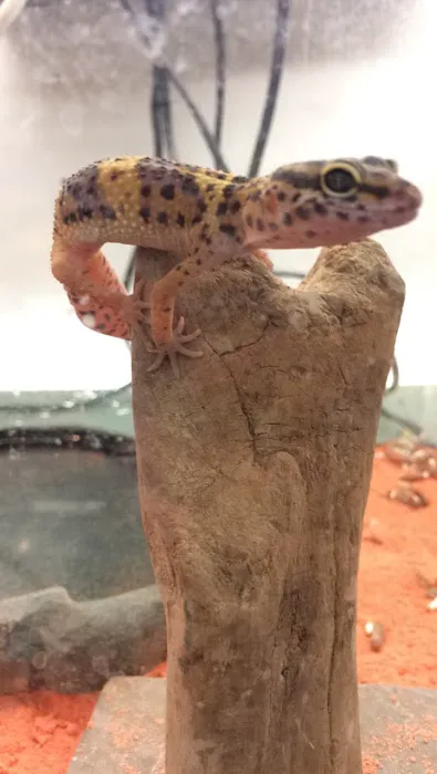 World Wide Aquarium & Pets Picture 6
