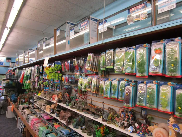 World Wide Aquarium & Pets Picture 4
