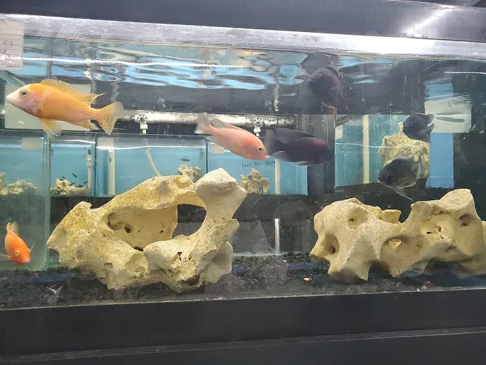 World Wide Aquarium & Pets Picture 5