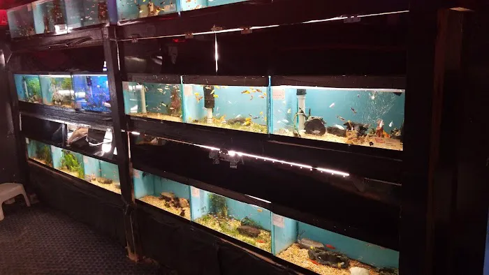 World Wide Aquarium & Pets Picture 9